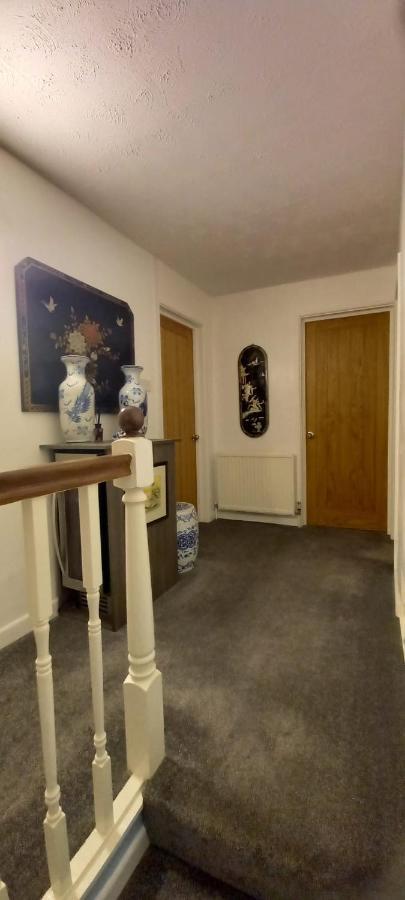 Grosvenor House - Onsite Free Parking Bed and Breakfast Ilfracombe Εξωτερικό φωτογραφία
